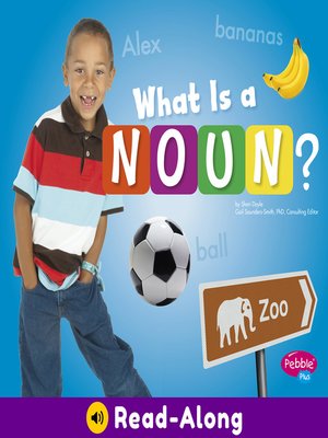 cover image of What Is a Noun?